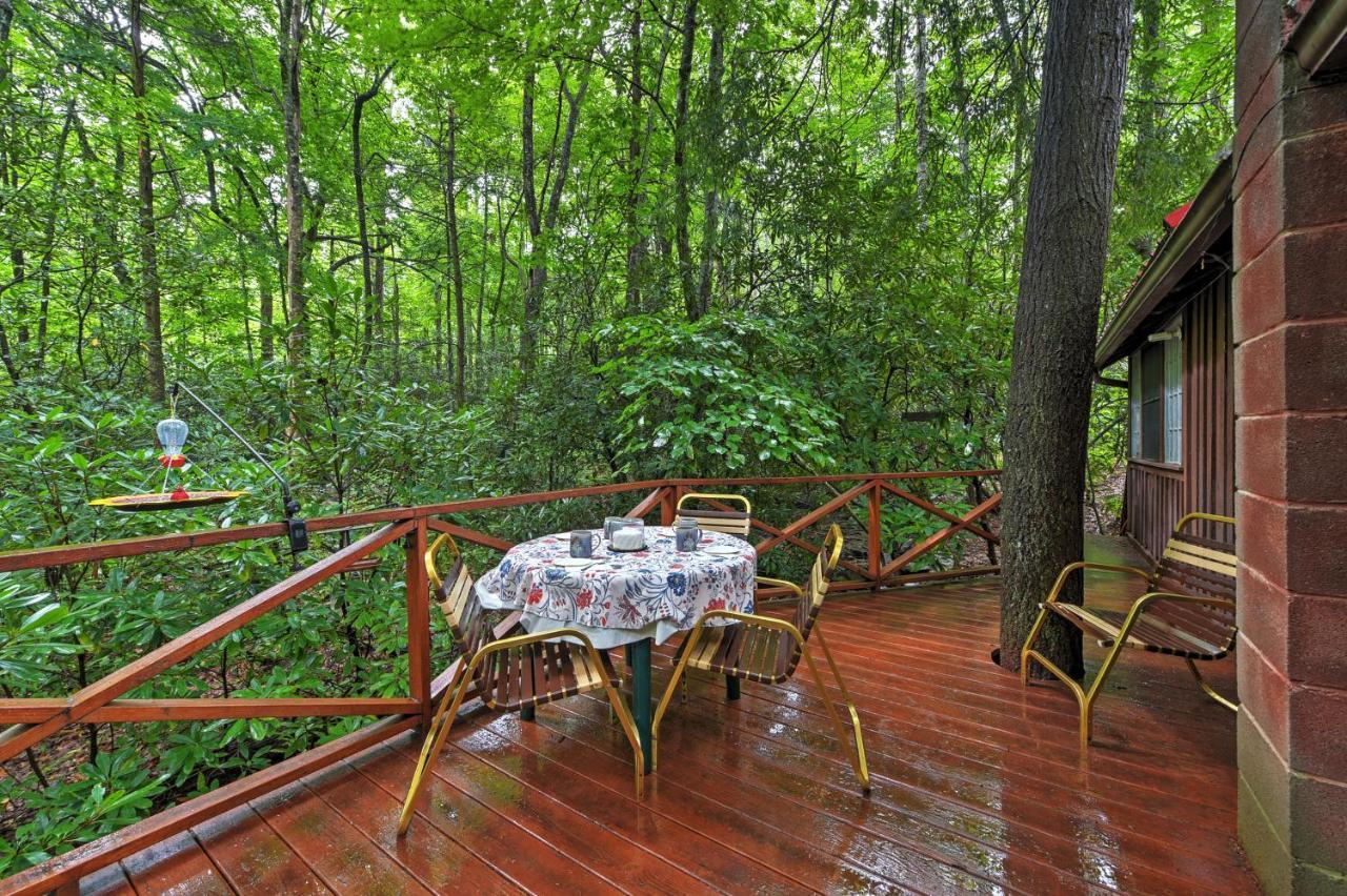 Serene Creekside Cottage Near Asheville Fire Pit 캔들러 외부 사진