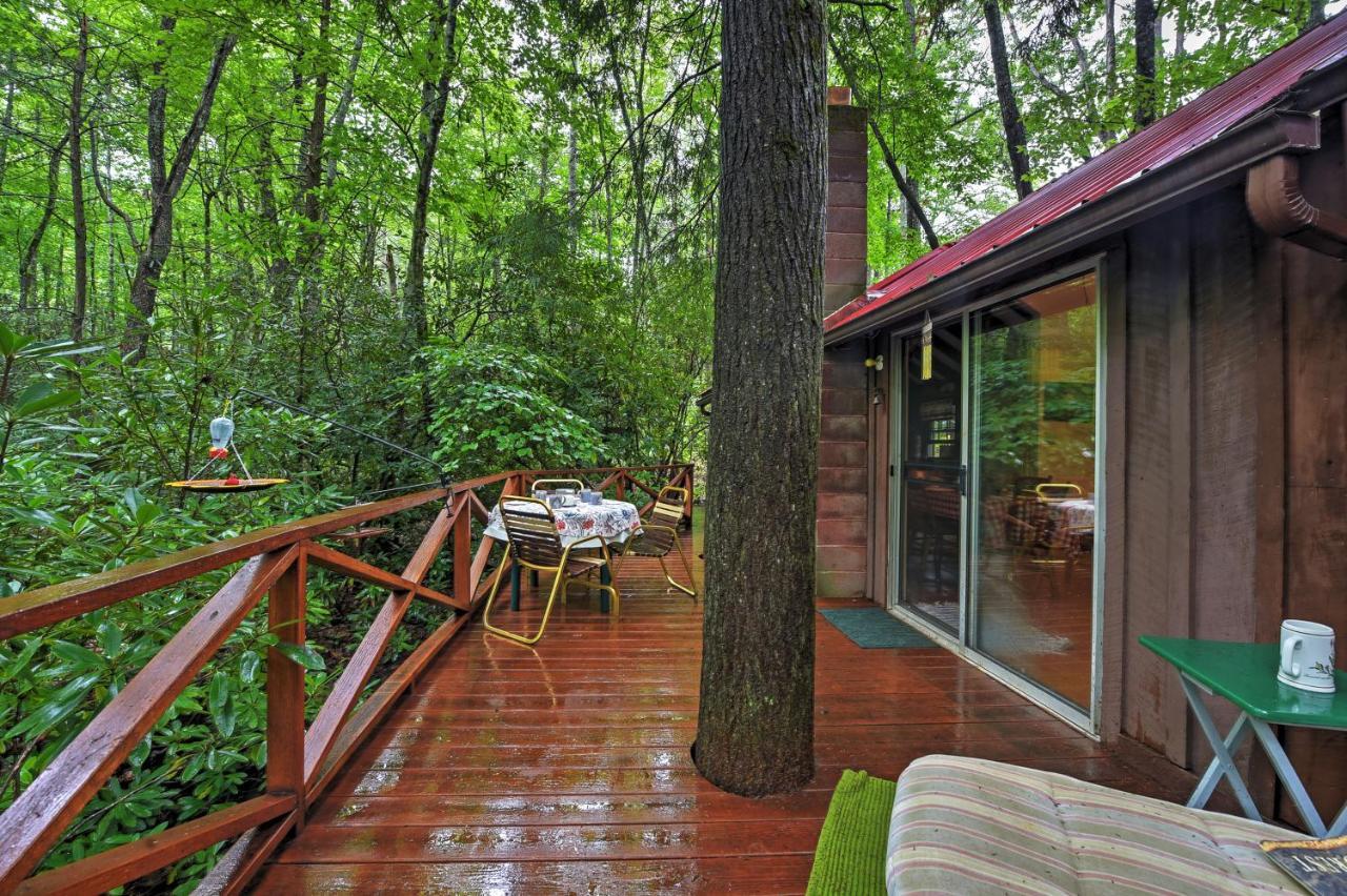 Serene Creekside Cottage Near Asheville Fire Pit 캔들러 외부 사진